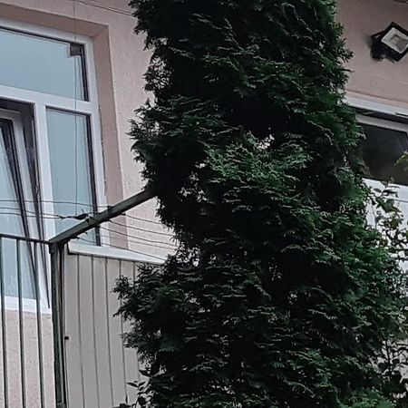 Transfer Apartment Lviv Kültér fotó