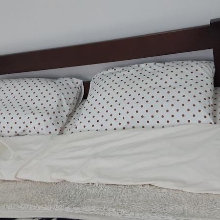 Transfer Apartment Lviv Kültér fotó