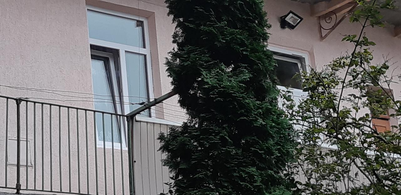 Transfer Apartment Lviv Kültér fotó